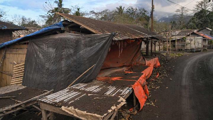 Pedagang Pasar Boru Bertahan di Tengah Abu Gunung Lewotobi: “Kami Terpaksa”