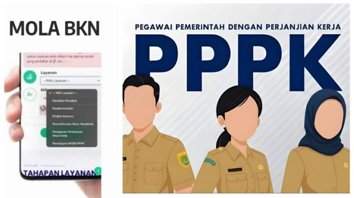 Cara Cek NIP P3K dan SK Pertek BKN Terbaru Lewat Aplikasi Daruma ASN Jawa Timur